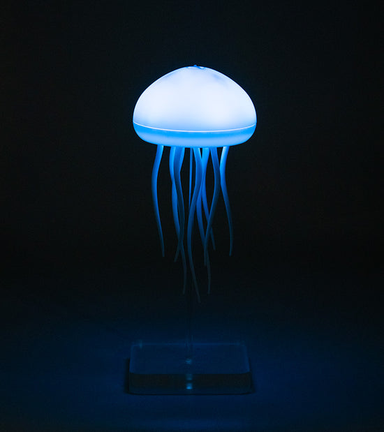 Veilleuse de nuit | Medusa™