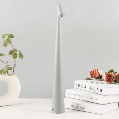 Lampe A Poser | Focus™