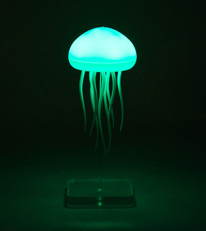 Veilleuse de nuit | Medusa™